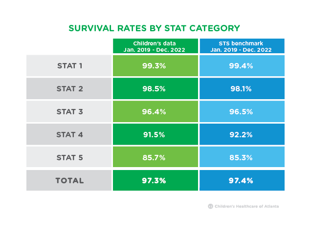 Survival rate by category