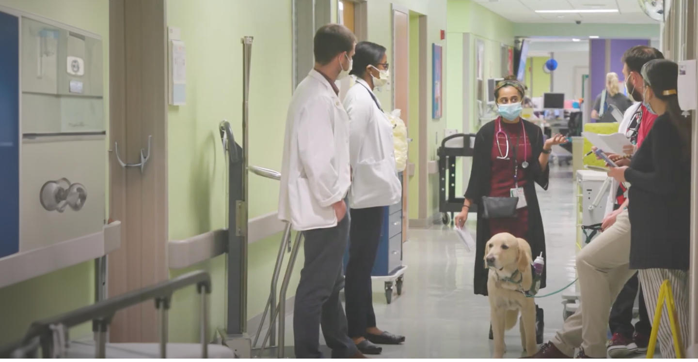 Physicians in hallway with service dog